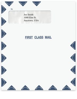 Large First Class Mail Envelope, One Top Window, 9-1/2" x 11-1/2" - ZBPforms.com